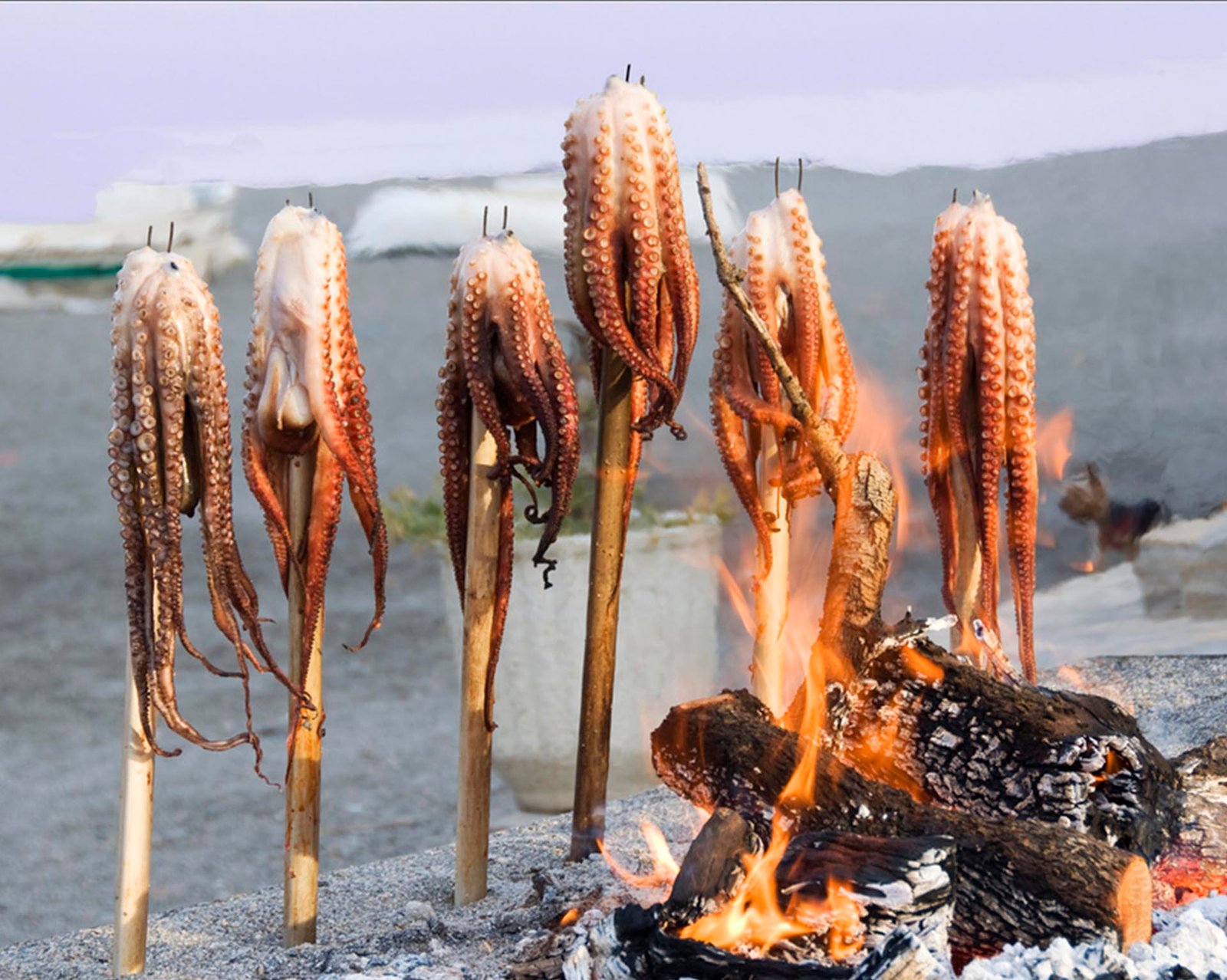 Actividades Gastronómicas Salobreña